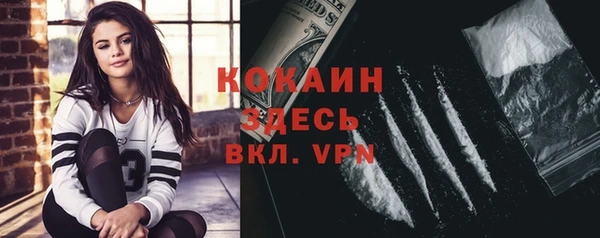 стафф Абаза
