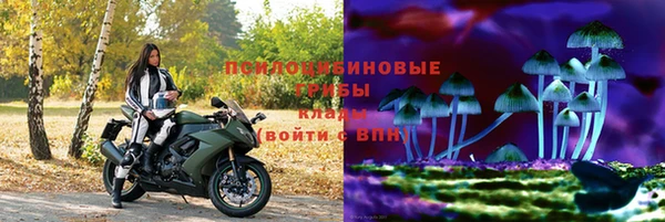 стафф Абаза