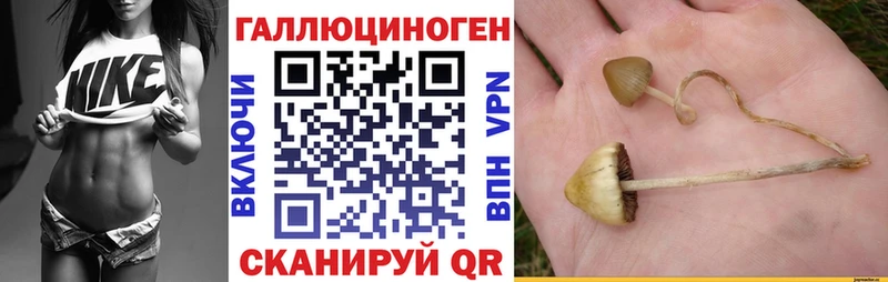 Галлюциногенные грибы Psilocybe  ОМГ ОМГ онион  Благодарный  даркнет сайт 